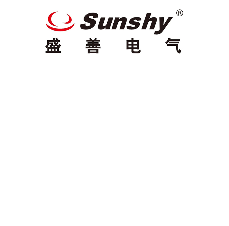 上海盛善電氣有限公司