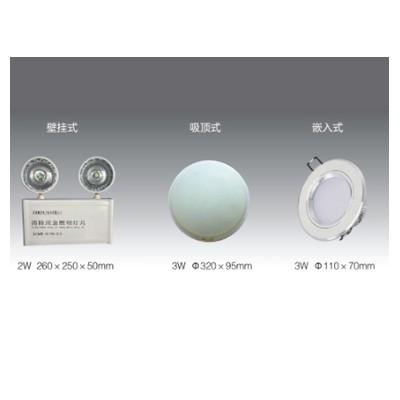 集中電源集中控制型消防應(yīng)急照明燈具