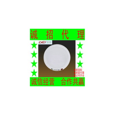 應(yīng)急照明燈