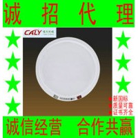 應(yīng)急照明燈