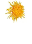 江西長(zhǎng)征金屬制品有限公司